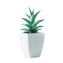 Pot of cactus; plant..die cut with transparency