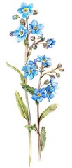 A watercolor illustration of blue flowers with green leaves, showcasing nature's beauty.