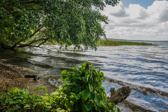 Tollense Lake