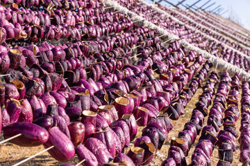 Eggplants hanging on a rope to dry. Eggplants hang for drying process in the sun, Gaziantep,Turkey.