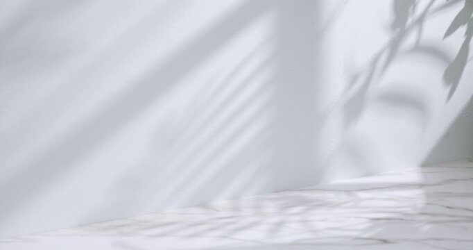 A sunny room with windows.
Background with multiple objects and shadows for
different designs.