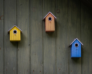 Colorful birdhouses hang on a wooden wall.Wood plank wall texture background.