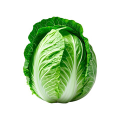 Cabbage isolated on transparent background