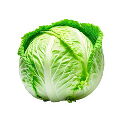 Fototapeta premium Cabbage isolated on transparent background