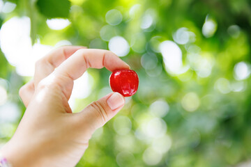 手に持ったさくらんぼ