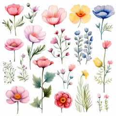 Beautifully detailed watercolor flowers in a range of colors and styles showcasing botanical elegance.