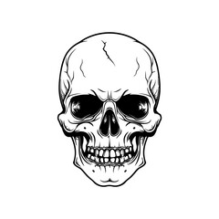 Simple, minimalist skull logo in vector