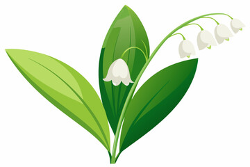 Obraz premium White Lily of the Valley Flowers with Green Leaves