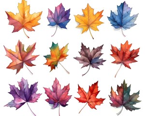 Vibrant Watercolor Maple Leaves in Autumn Shades on White Background
