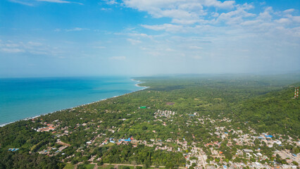 Obraz premium Palomino Magico