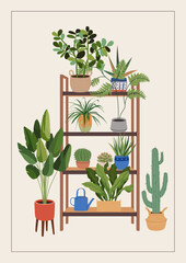 Potted plants on a new home greeting card, print, or poster. Housewarming party invitation with interior scene. New place to live in postcard with house plants in flowerpots. Flat vector illustration.
