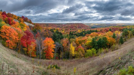 Fototapeta premium A breathtaking panoramic view of a vibrant autumn forest under a dramatic cloudy sky, showcasing an array of colorful foliage in the rolling landscape.