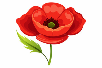 Single Red Poppy Flower with Green Leaf and Stem
