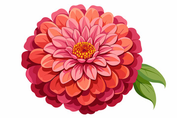 A Single Pink and Orange Zinnia Flower with Two Green Leaves