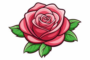 A Single Pink Rose with Green Leaves