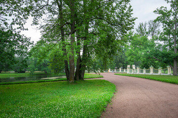 A park with a path and a pond
