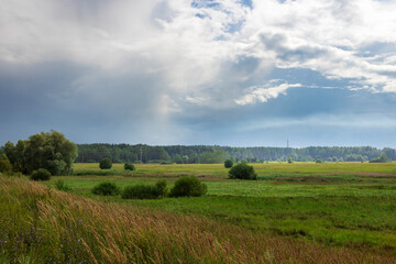 A serene view of expansive green fields stretching to the horizon, with towering trees and a dramatic sky showcasing vibrant clouds.