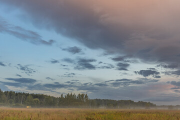 A cloudy sky with a few trees in the background