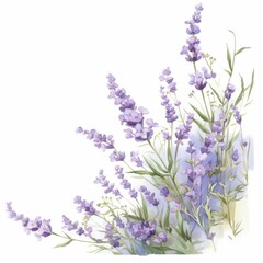 A beautiful arrangement of lavender flowers with delicate green leaves.