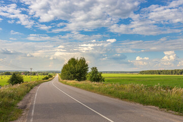 A road with a tree on the side and a clear blue sky