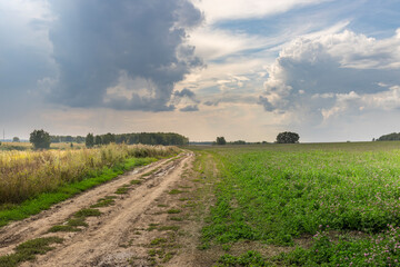 Fototapeta premium A road runs through a field with trees in the background