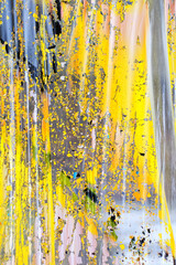 polyethylene film with multicolored paint patches. painting texture streaks abstract background. Beautiful background created on film with colorful acrylic paints.