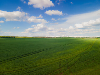 Landscape view from drone, green fields and forest, sky with white clouds. 