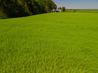 Landscape view from drone, green fields and forest, sky with white clouds. 