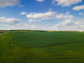 Fototapeta premium Landscape view from drone, green fields and forest, sky with white clouds. 
