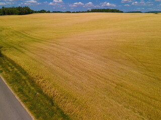 Landscape view from drone, yellow and green fields and haystacks, sky with white clouds. 