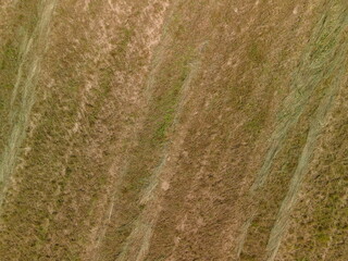 Landscape view from drone, yellow and green fields and haystacks, sky with white clouds. 