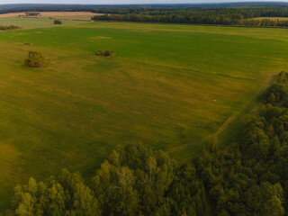 Obraz premium Landscape view from drone, yellow and green fields and haystacks, sky with white clouds. 