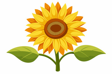 A Single Sunflower with Two Leaves on a Green Stem