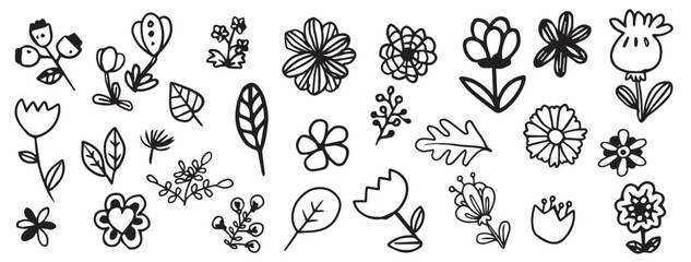 black white flowers collection.