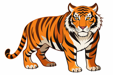 Fototapeta premium A Standing Tiger with Orange and Black Stripes