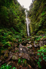 Magical misty green forest with waterfalls in Levada do Norte, Madeira island, Portugal. PR17 Pinaculo e Folhadal