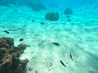 Ambiance du lagon - Bora Bora 