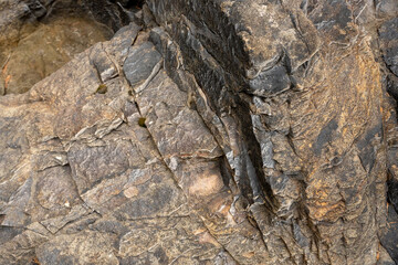 Shiny Texture Of The Rocks Along Olympic Coast