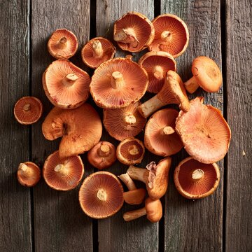 Top view heap of raw wild saffron milk cap or red pine mushrooms arranged on shabby wooden surface