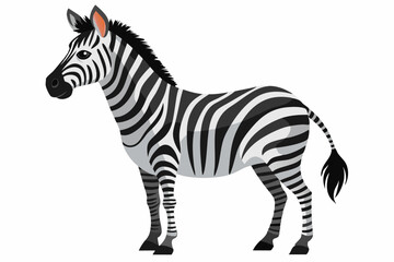 Obraz premium A Standing Zebra With Black And White Stripes