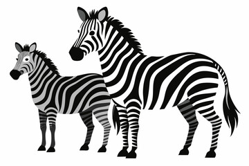 Fototapeta premium Two Zebras Standing Side-by-Side in Black and White