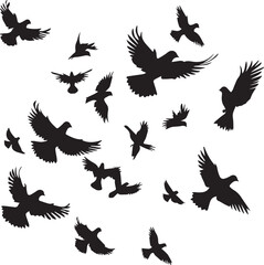 Fototapeta premium Set of Silhouettes of Pegion