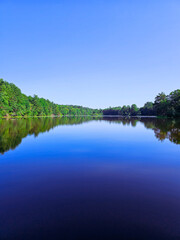 lake and forest