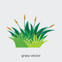grasss vector in flat style single illustration with flowers.eps
