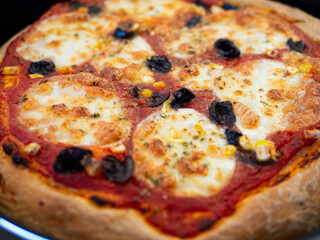 Fresh, hot, oven-baked Italian Neapolitan pizza with mozzarella cheese