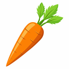 clip art realistic carrots vector illustration
