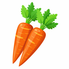 clip art realistic carrots vector illustration