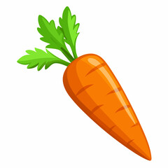 clip art realistic carrots vector illustration