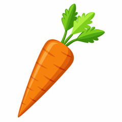 clip art realistic carrots vector illustration