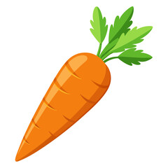 clip art realistic carrots vector illustration
